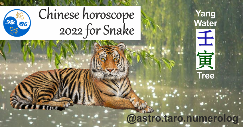 Китайский гороскоп на 2022 год для змеи